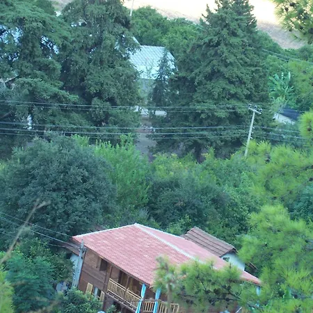 Naz Apartlari 公寓 *