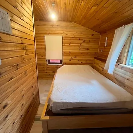 Naz Apartlari Çıralı
