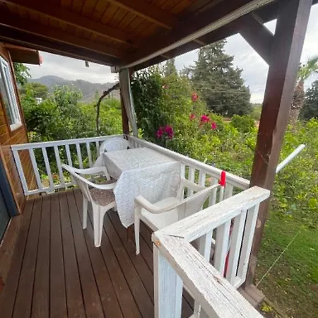 Apartamento Naz Apartlari