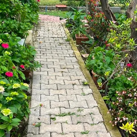 Naz Apartlari Çıralı