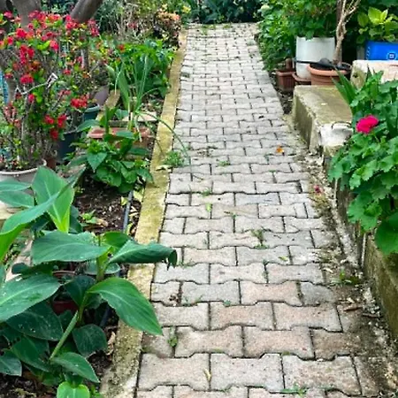 Naz Apartlari *