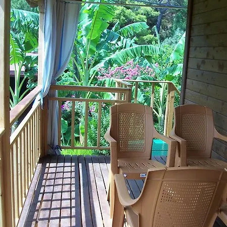 Naz Apartlari * Çıralı