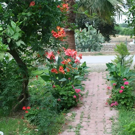 Apartamento Naz Apartlari