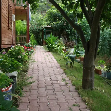 Naz Apartlari Apartamento Çıralı