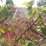Naz Apartlari