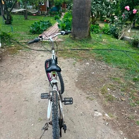 Naz Apartlari * Çıralı