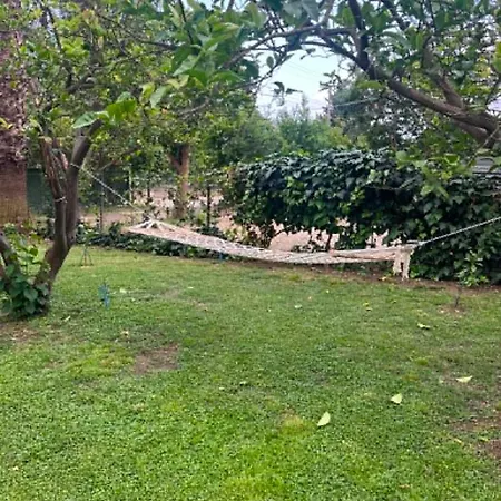 Apartment Naz Apartlari Cirali
