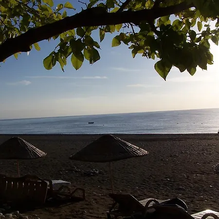 Naz Apartlari 公寓 *