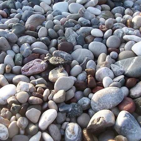 Naz Apartlari * Çıralı