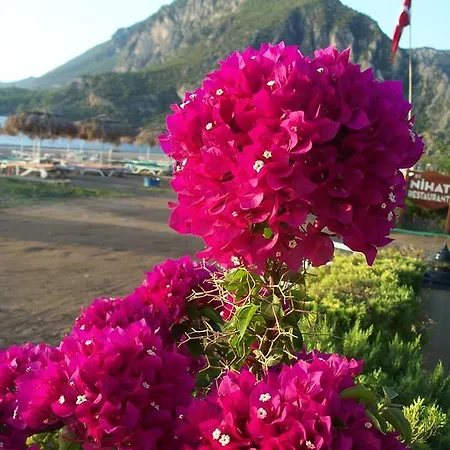 Naz Apartlari * Çıralı