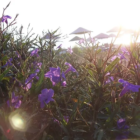 Naz Apartlari * Çıralı