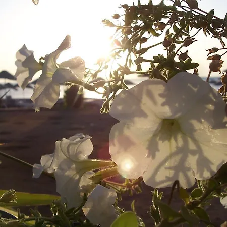 Apartament Naz Apartlari Çıralı