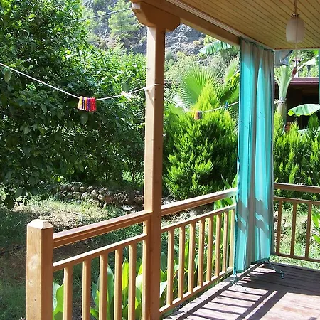 Naz Apartlari * Çıralı