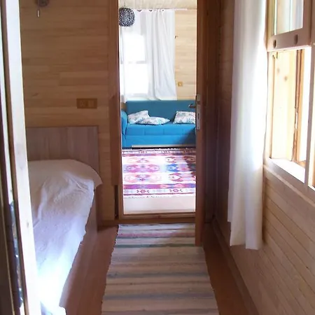 公寓 Naz Apartlari