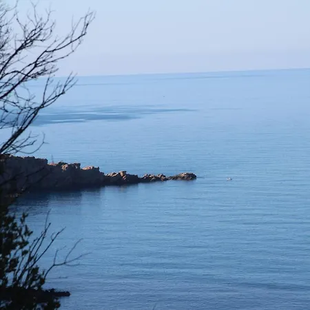 Naz Apartlari Çıralı