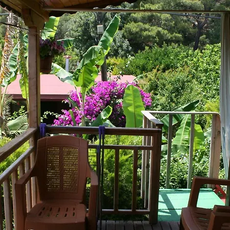 Naz Apartlari Appartement *