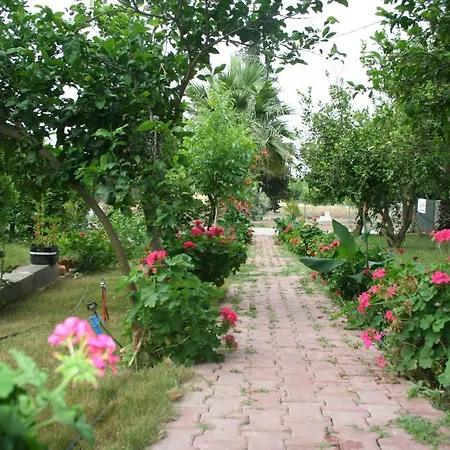 Naz Apartlari Appartement *