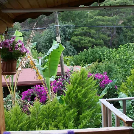 Naz Apartlari * Çıralı