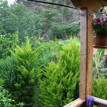 Naz Apartlari