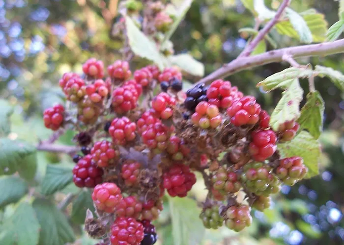 Apartment Naz Apartlari *