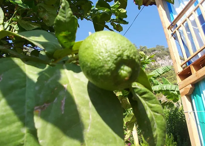 Naz Apartlari Apartment *